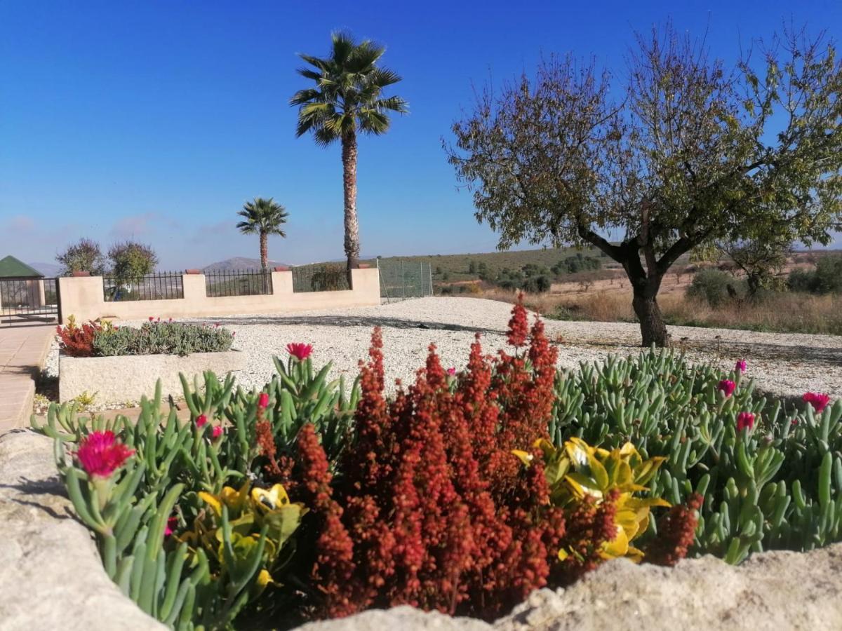 Finca Guillermo Murcia Canada del Trigo Экстерьер фото